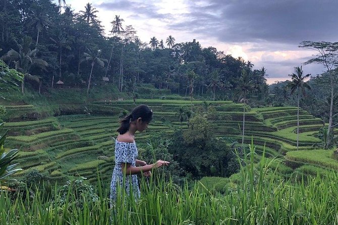 Hire Bali Driver for 10-hour (Bali as You Please) - Price, Pickup Coverage, and Why This Can Be Worth It