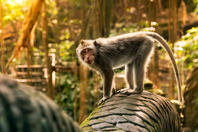 Hire Private Bali Driver - Switching to Beaches and Temples: Jimbaran to Tanah Lot