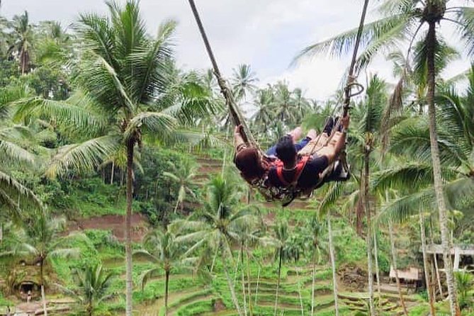 Hire Private Bali Driver - Timing, Traffic, and Getting the Most From Your 8 Hours
