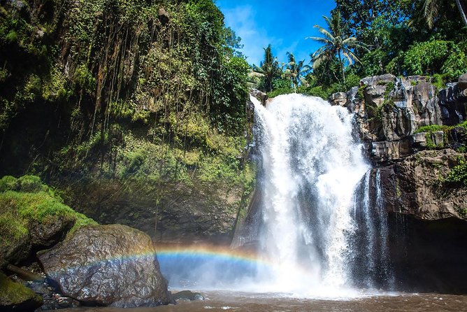 Hire Private Bali Driver - Price and Value: Is $40 per Person a Smart Deal?
