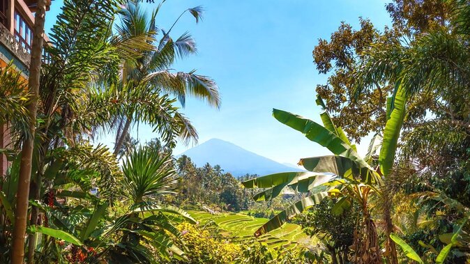Jatiluwih Batukaru Mountain Nature's Best Tour - Quick take: what makes this tour worth your time