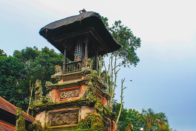Jatiluwih Batukaru Mountain Nature's Best Tour - Price and logistics: does $61.54 feel fair?