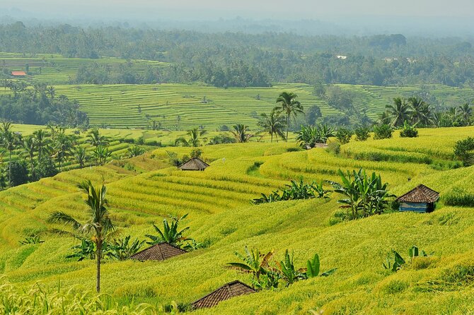 Jatiluwih Batukaru Mountain Nature's Best Tour - Pura Luhur Batukaru: the temple where quiet feels real