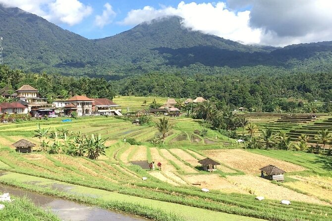 Jatiluwih Batukaru Mountain Nature's Best Tour - Where you’ll rest, and what food costs look like