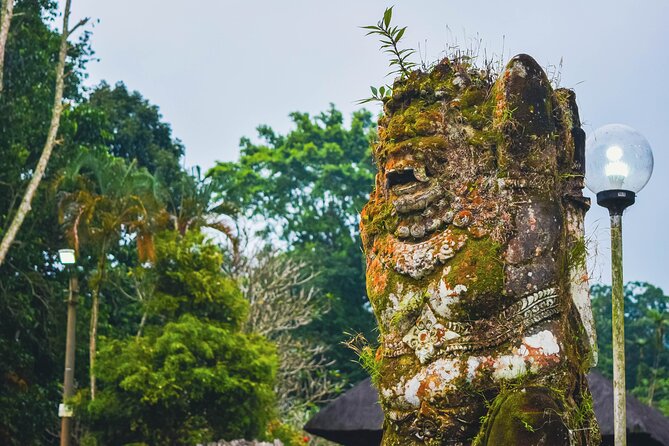 Jatiluwih Batukaru Mountain Nature's Best Tour - Who this tour suits best