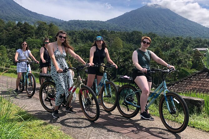 Jatiluwih E-bikes Tour Cycling Group - Stop 1: Jatiluwih Green Land and the irrigation system lesson