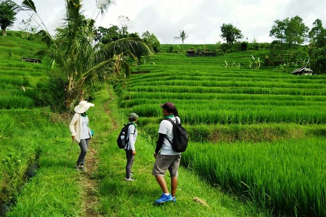 Jatiluwih full day e-bike cycling with lunch & trekking program - Riding tips for Bali’s e-bikes: what to expect and how to feel confident
