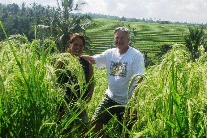 Jatiluwih full day e-bike cycling with lunch & trekking program - Lunch at Green Cafe: a Balinese plate in the rice fields