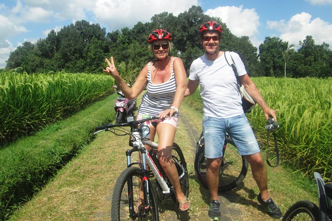 Jatiluwih in detail (1 h. e-bike tour in the rice terraces) - Why Jatiluwih on an e-bike works so well
