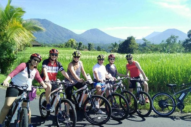 Jatiluwih in detail (1 h. e-bike tour in the rice terraces) - The meeting point and how the tour is set up