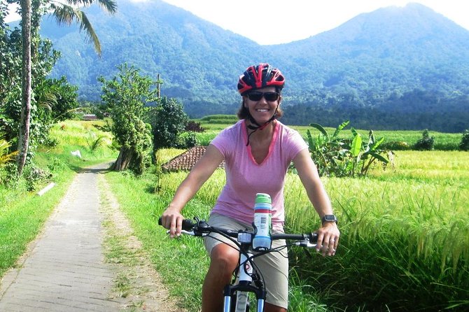 Jatiluwih in detail (1 h. e-bike tour in the rice terraces) - What you pay, and what you still need to cover