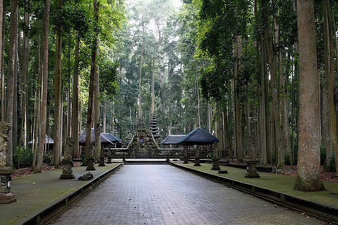 Jatiluwih Spiritual Journey of Melukat with Rice Terrace View - Two monkey forests and a lot of temples: the best way to enjoy the whole loop