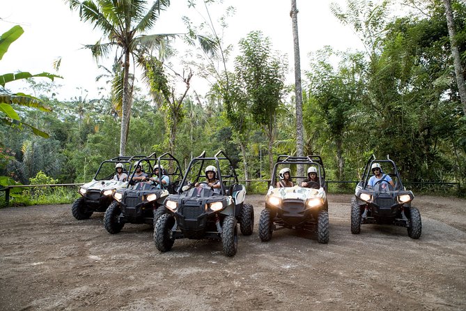 Jungle Buggy Adventure and Ubud Tour - What Makes the Track Feel Like More Than a Ride