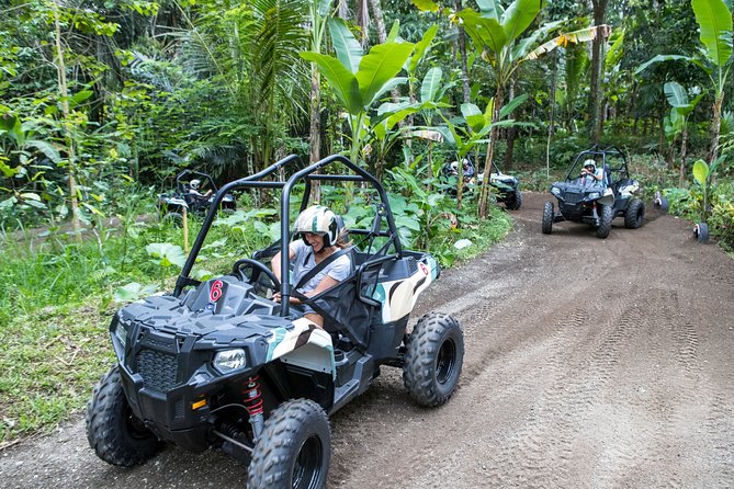 Jungle Buggy Adventure and Ubud Tour - Price, Timing, and What You Get for $100