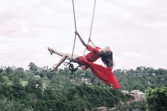 Jungle Swing - Volcano - Water Temple - Monkey Forest and Waterfall Tour - Price and logistics, plus the entrance-fee reality check