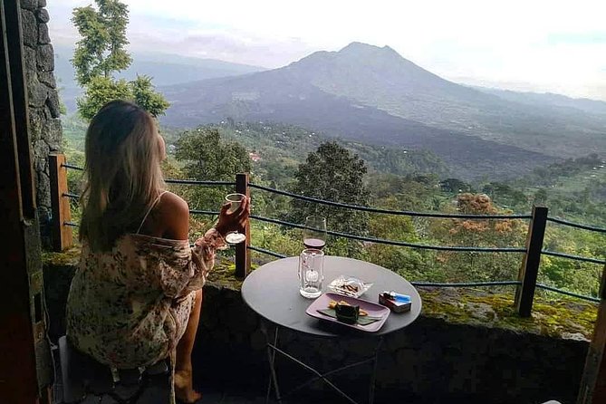 Jungle Swing - Volcano - Water Temple - Monkey Forest and Waterfall Tour - My Swing Bali: a jungle-view photo stop with a clear cost