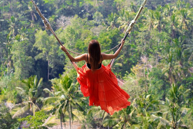 Jungle Swing - Volcano - Water Temple - Monkey Forest and Waterfall Tour - Kintamani Highland and Mt. Batur: volcanic views plus the lake below