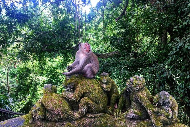 Jungle Swing - Volcano - Water Temple - Monkey Forest and Waterfall Tour - Ubud Monkey Forest Sanctuary: 700+ long-tailed monkeys in a real jungle walk