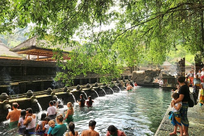 Jungle Swing - Volcano - Water Temple - Monkey Forest and Waterfall Tour - Tegenungan Waterfall: big jungle energy without a long trek