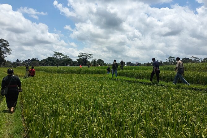 Keliki Village Tour And Rice Field Walk Including Lunch Or Dinner - Key highlights you will feel on this walk