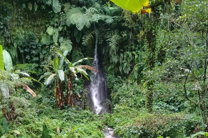 Keliki Village Tour And Rice Field Walk Including Lunch Or Dinner - Price and value for a 3 to 4 hour guided walk