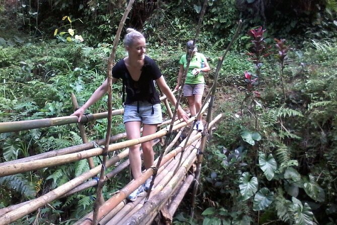Keliki Village Tour And Rice Field Walk Including Lunch Or Dinner - From the Ubud meeting point to Keliki: jungle paths and plant names