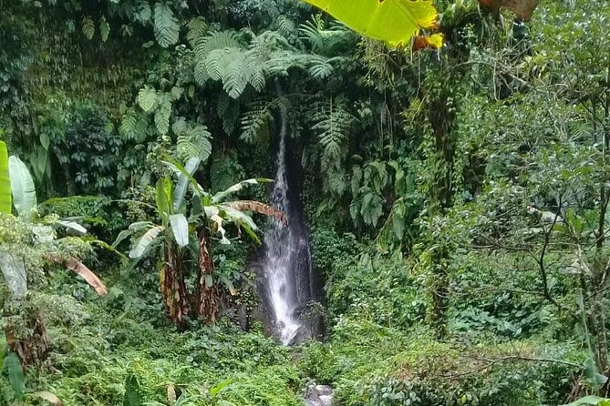 Keliki Village Tour And Rice Field Walk Including Lunch Or Dinner - How the 3 to 4 hour timing works from Ubud