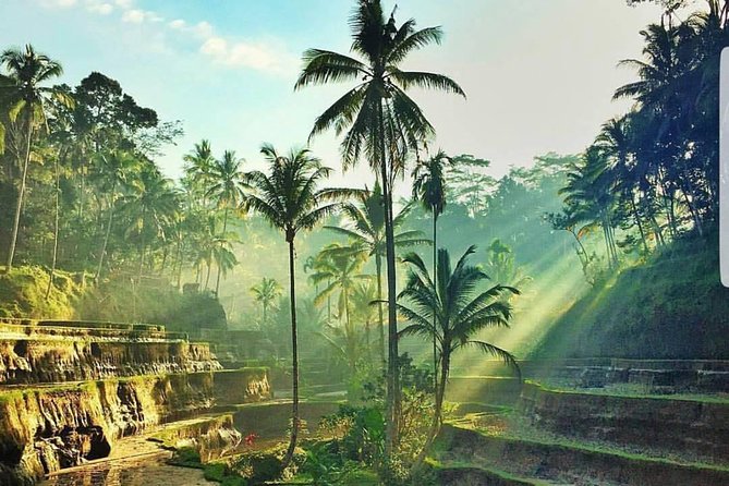 Kintamani and Tukad Cepung Waterfall Tour - Mount Batur Views and Buffet Lunch: When Food Comes With the Scenery