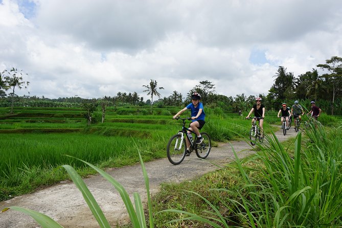 Kintamani Cultural and Nature Cycling Tour ( Manual Bike ) - Quick hits before you pedal