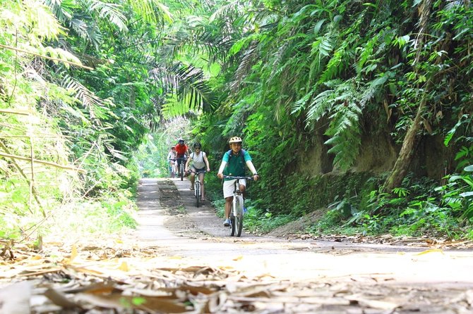 Kintamani Cultural and Nature Cycling Tour ( Manual Bike ) - Kintamani riding start near Abuan village: where the downhill begins