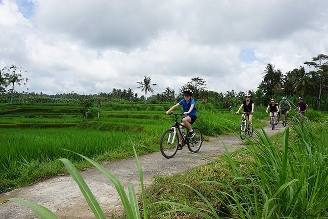 Kintamani Cultural and Nature Cycling Tour ( Manual Bike ) - Taro village coffee break and Gunung Raung Temple