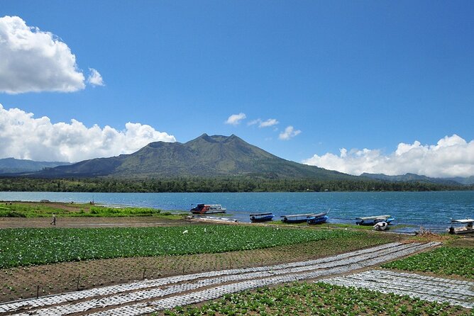 Kintamani Lake & Volcano Tour - Holy Springs Stop: Healing Water Stories Along the Return