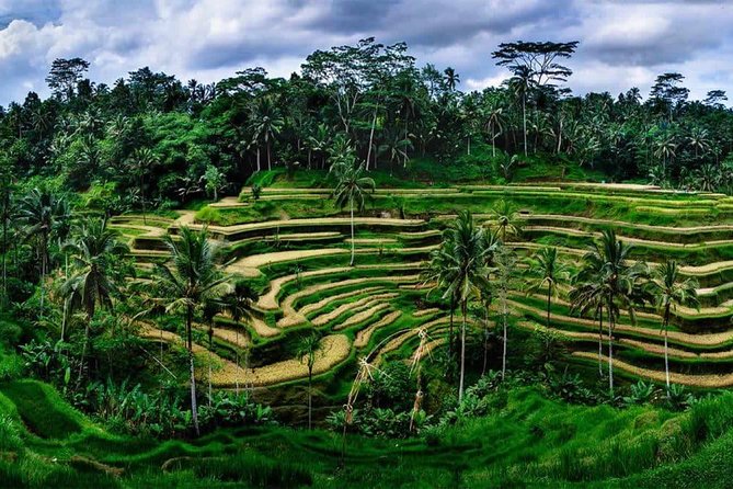 Kintamani Vulcano Tour - Gunung Kawi: Cliffside Carvings and Rice Terrace Views