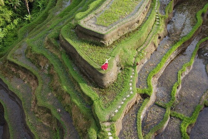 Lempuyang Gate of Heaven and Tukad Cepung Waterfall - Tirta Gangga Palace: A Palace Visit That Balances the Active Parts