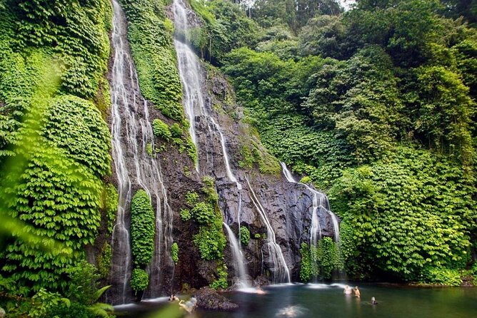 Lovina Sunrise Dolphin & Waterfall Tour - Who This Tour Fits Best (and Who Might Skip It)