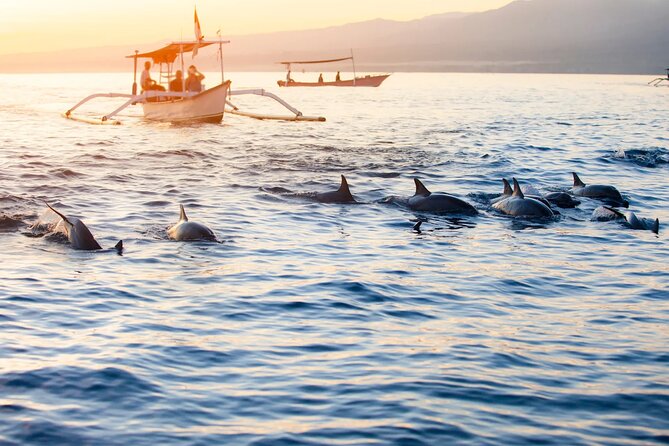Lovina Sunrise Dolphin & Waterfall Tour - Lovina Beach and the Dolphin Sunrise Cruise