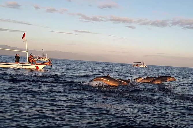 Lovina Sunrise Dolphin with option snorkeling and waterfall - Key Points to Know Before You Go
