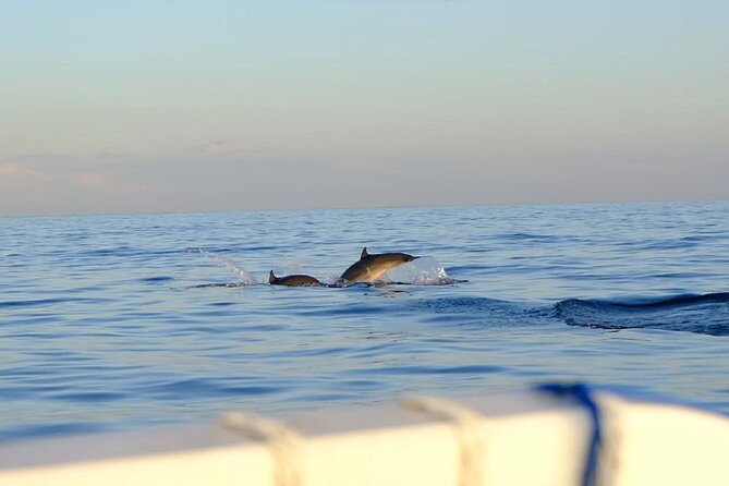Lovina Sunrise Dolphin with option snorkeling and waterfall - How This Bali Day Balances Dolphins And Waterfalls