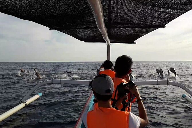 Lovina Sunrise Dolphin with option snorkeling and waterfall - Private Transport Means You Control the Minutes