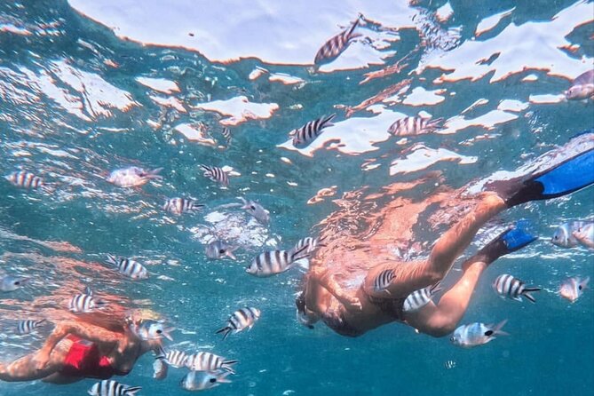 Lovina Sunrise Dolphin with option snorkeling and waterfall - When the Trip Feels Like a Crowd, What You Can Do