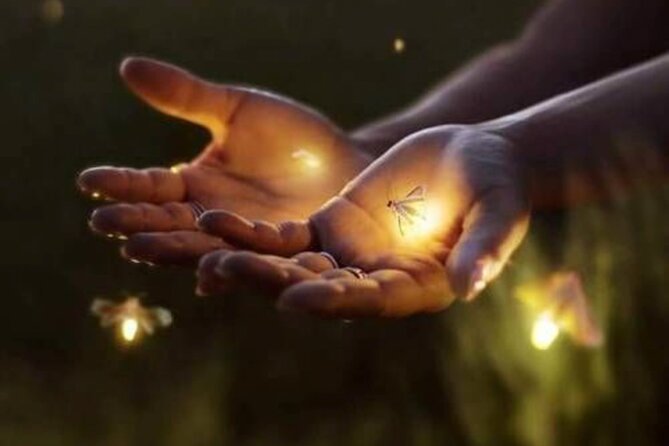Magical Village Tour & Private Dinner with Fireflies in Bali - The dinner stop: Nasi Goreng or Mie Goreng, plus coffee or tea