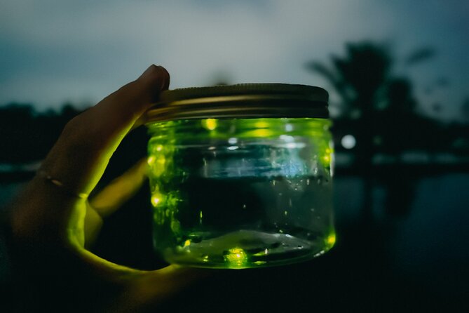 Magical Village Tour & Private Dinner with Fireflies in Bali - Night sounds lesson: crickets, frogs, geckos, and native wildlife