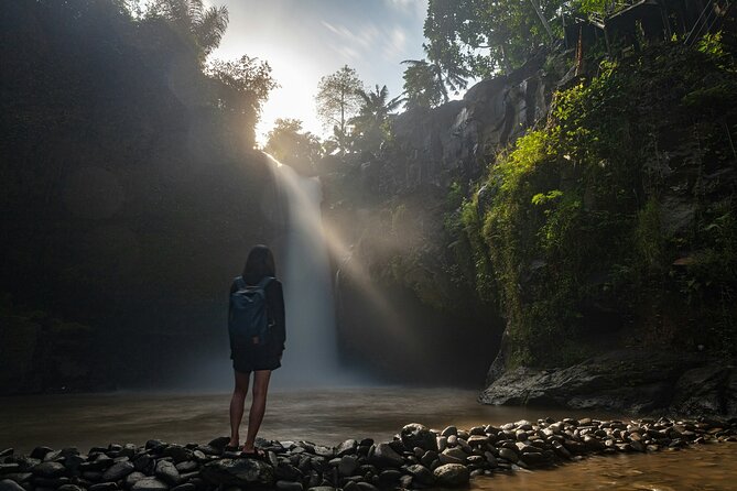 Monkey Forest, Temple, Waterfall and Rice Terrace in Ubud Tour - Tegalalang Rice Terrace Viewpoints, Photos, and Optional Adrenaline