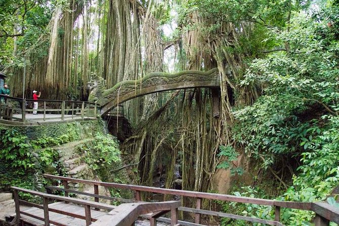 Monkey Forest Ubud Half day Tour - A Half-Day Run Through Ubud: Monkey Forest, Tegalalang, Ulu Petanu