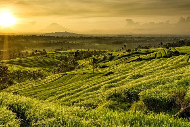 More Complete: Discover Bali In 3 Days Private Tour Package - Why Included Lunch and Transfers Make This Tour Feel Easier