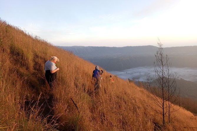 Mount Batur Sunrise Trekking Guide - Coffee plantation stop: sampling without turning it into a hard sell
