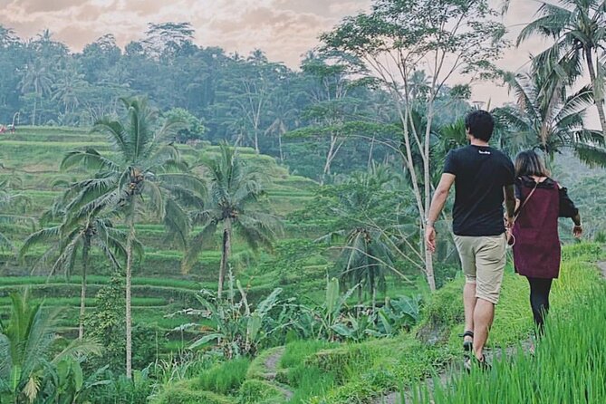 Mount Batur Sunrise Trekking Private Guide - Transfers from Ubud and beyond, and how to plan your pickup
