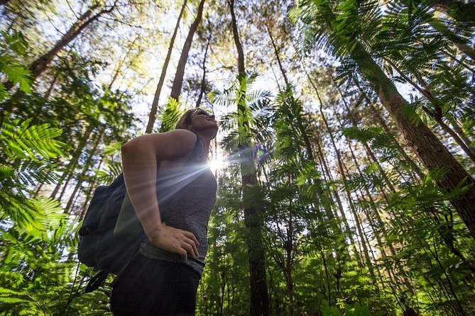 Mount Batur Sunrise Trekking With Breakfas - Optional coffee plantation and Luwak: a cultural add-on, not a must