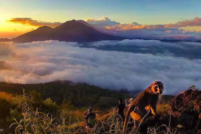 Mount Batur Sunrise Trekking With Breakfas - Summit breakfast: the practical payoff of doing the hike the right way