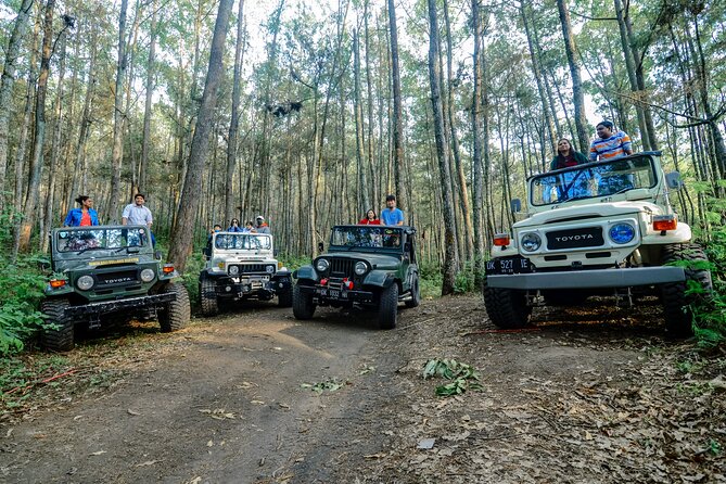 Mount Batur Trekking by 4wd Jeep - The Exact Timing: From 02:30 Pick-Up to Hot Spring Soak